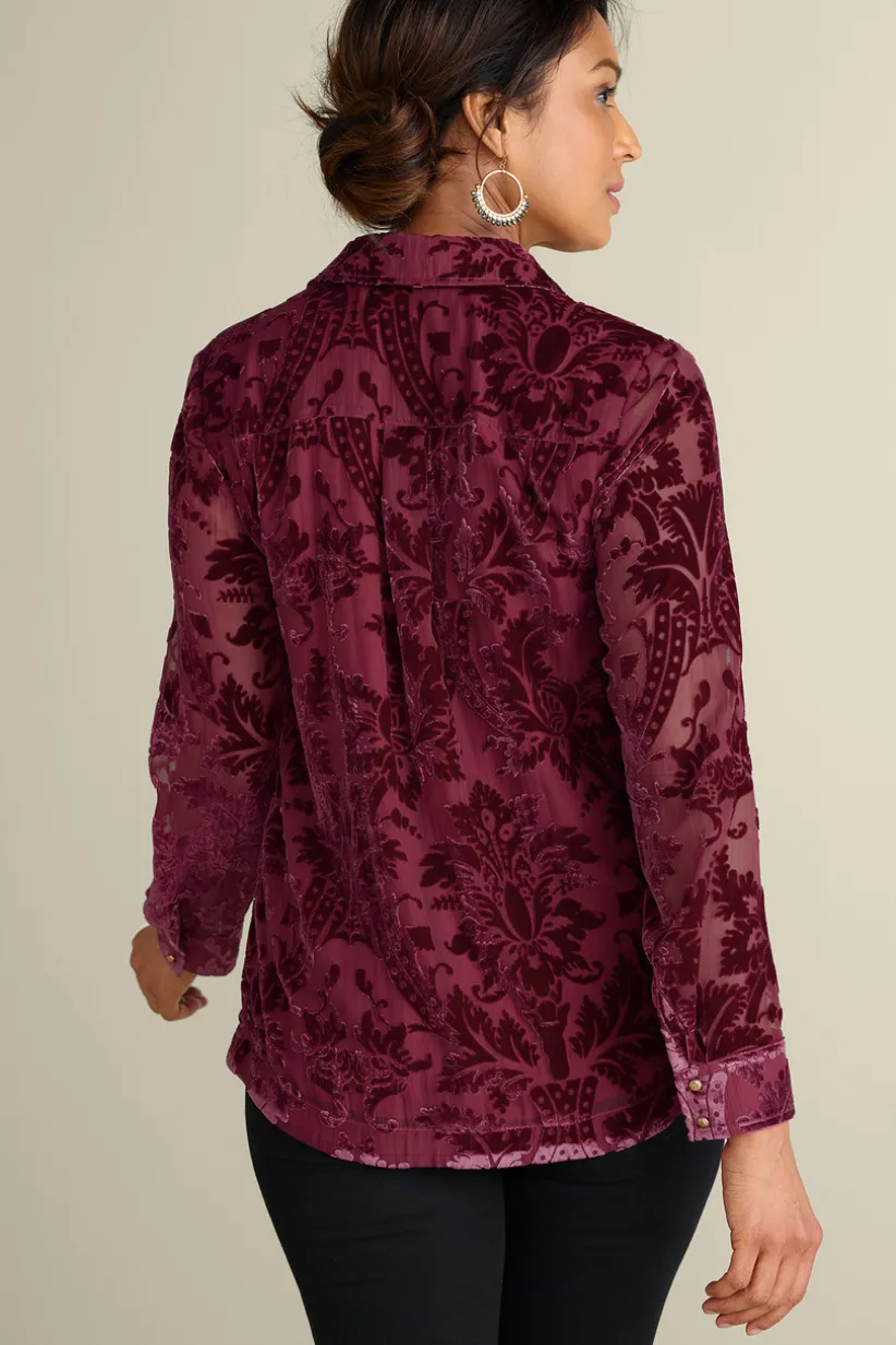 Floreat Velvet Shirt<Soft Surroundings Clearance