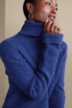 Linley Sequin Sweater<Soft Surroundings Online