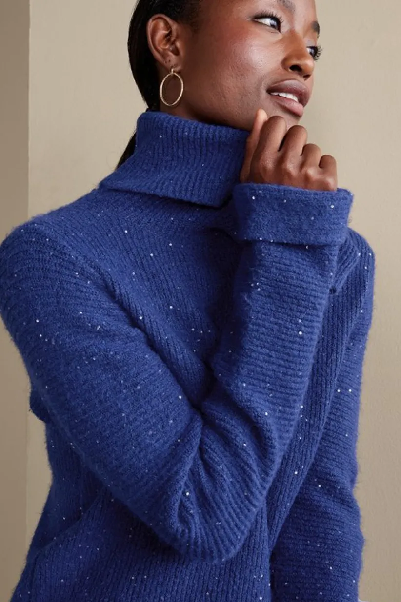 Linley Sequin Sweater<Soft Surroundings Online