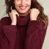 Linley Sequin Sweater<Soft Surroundings Online