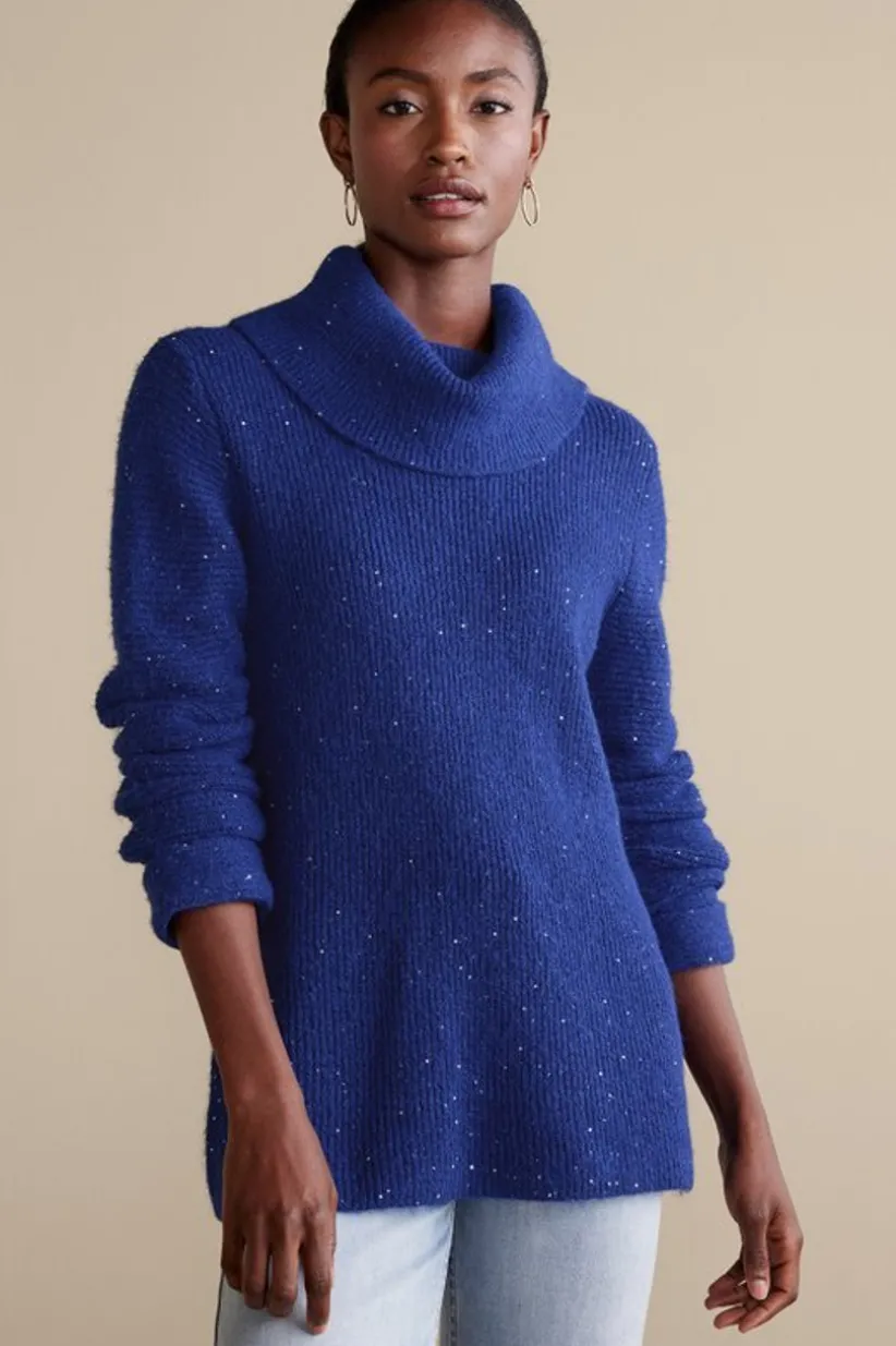 Linley Sequin Sweater<Soft Surroundings Online