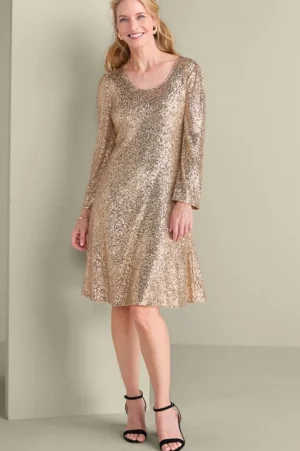 Sancerre Sequin Dress<Soft Surroundings Outlet