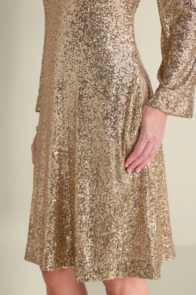 Sancerre Sequin Dress<Soft Surroundings Outlet